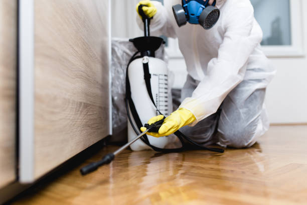 Insect Control in Rapid Valley, SD