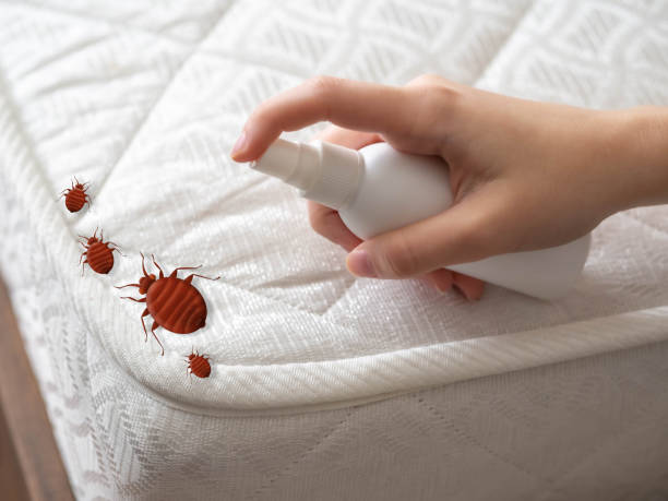 Best Best Pest Control Companies  in Rapid Valley, SD