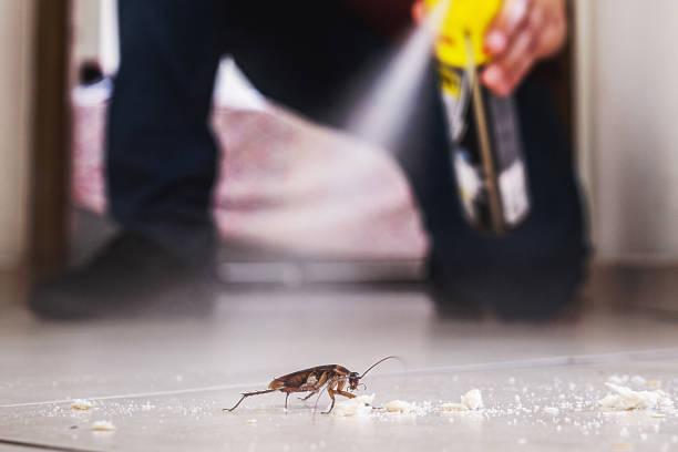Pest Control Cost in Rapid Valley, SD