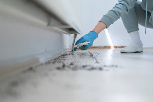 Best Residential Pest Control  in Rapid Valley, SD